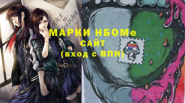 гашик Алексин