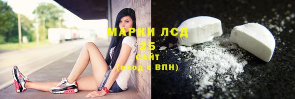 гашик Алексин