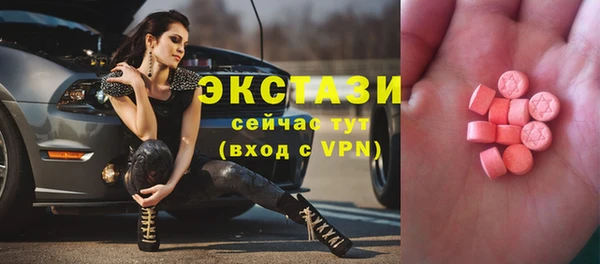 гашик Алексин