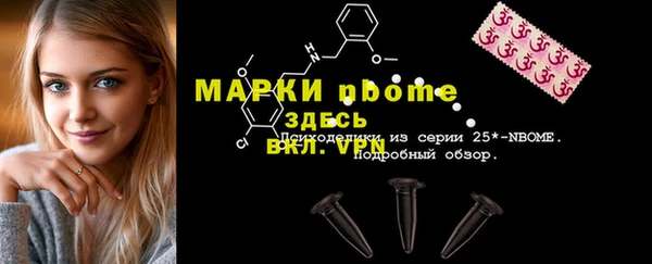 гашик Алексин