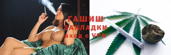 гашик Алексин
