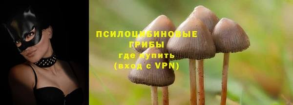 гашик Алексин