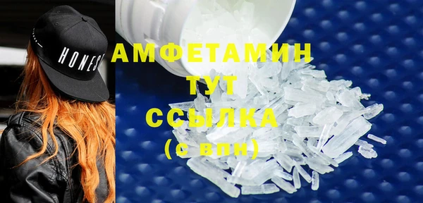 гашик Алексин
