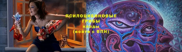 а пвп мука Нея